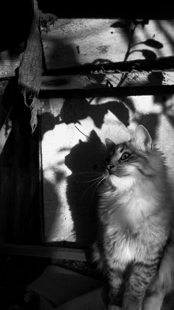 Photograph by Хачик Аджатян