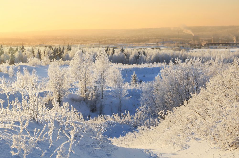 Снегом все запорошено