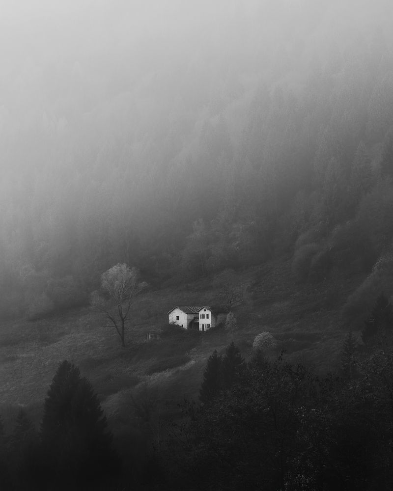 Photograph by Thomas de Franzoni