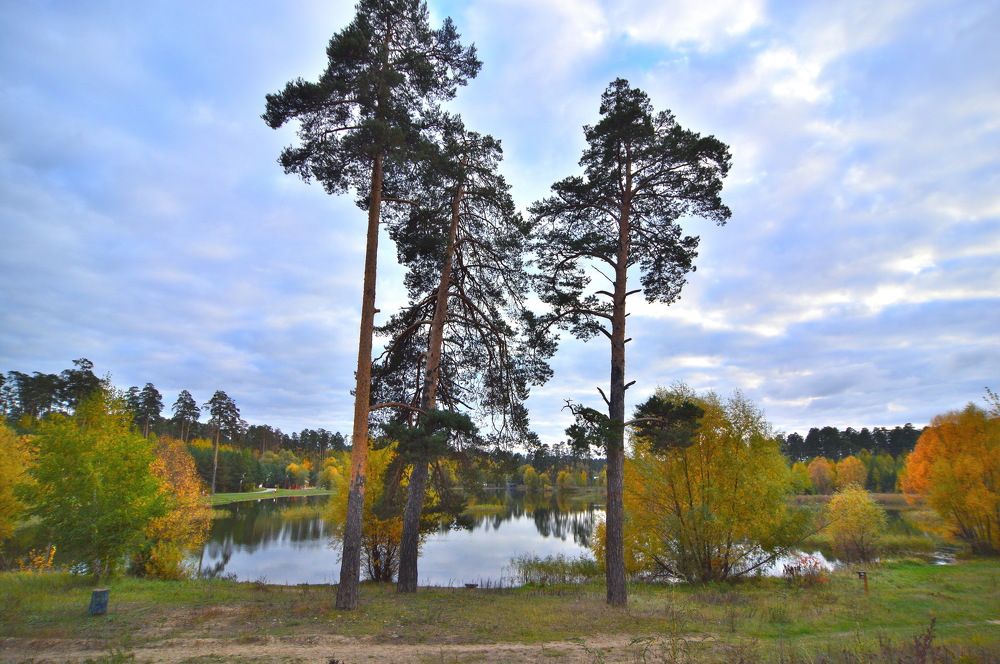 Фотография автора Клавдия Васильева