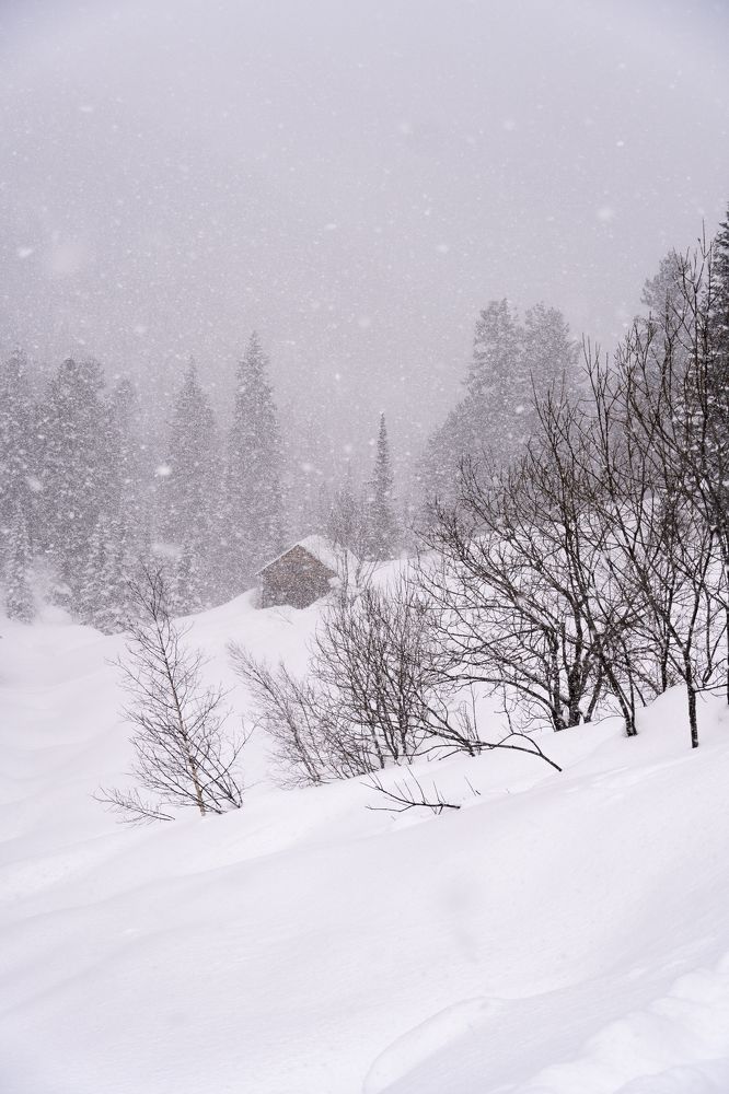 Фотография автора Марина Тирских