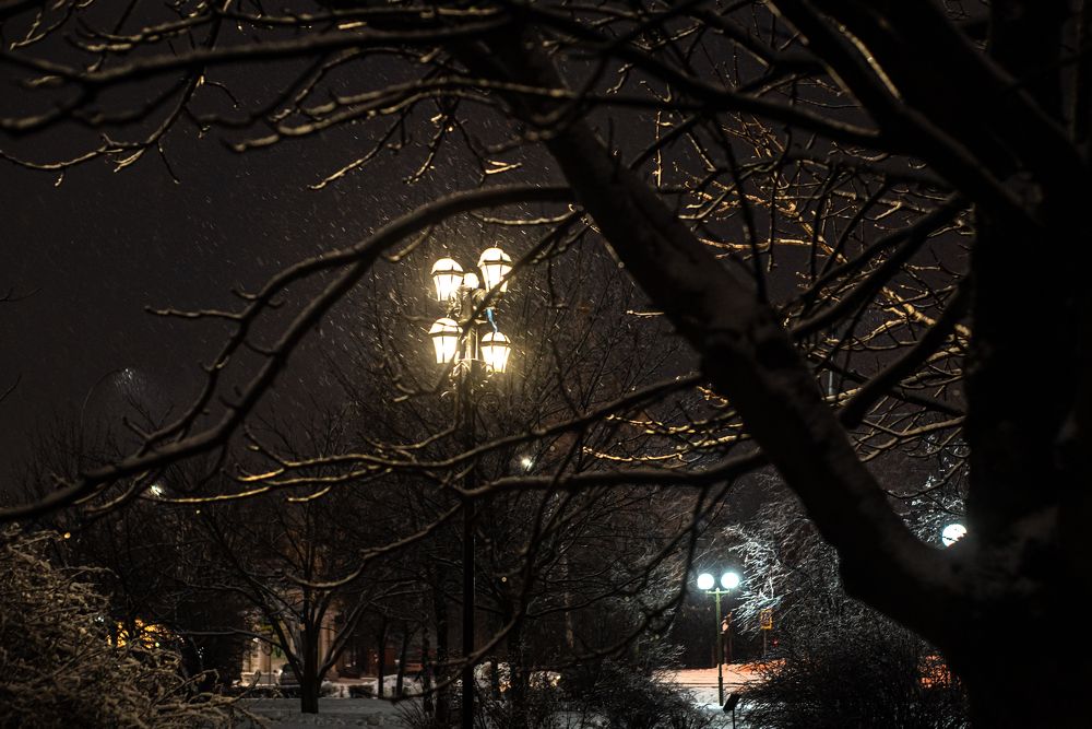 Photograph by наталья залогина