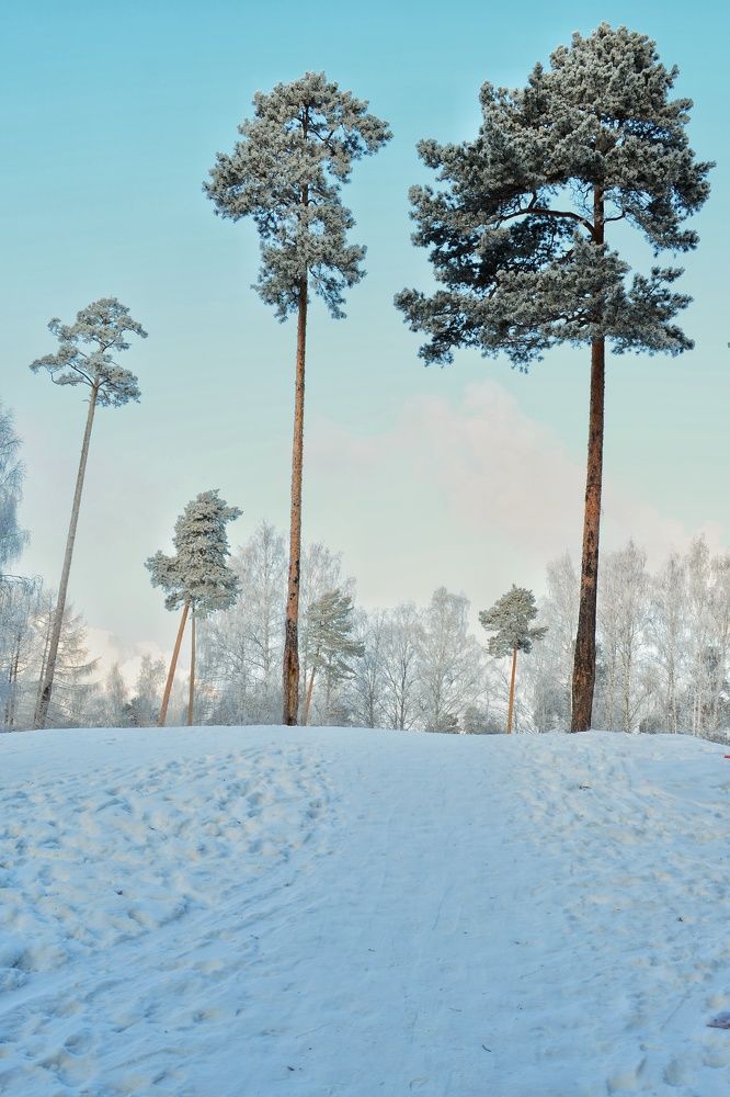 Photograph by Максим Солдатенко