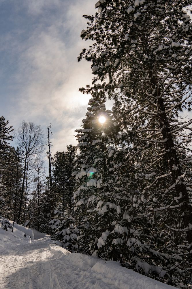 Фотография автора Марина Тирских