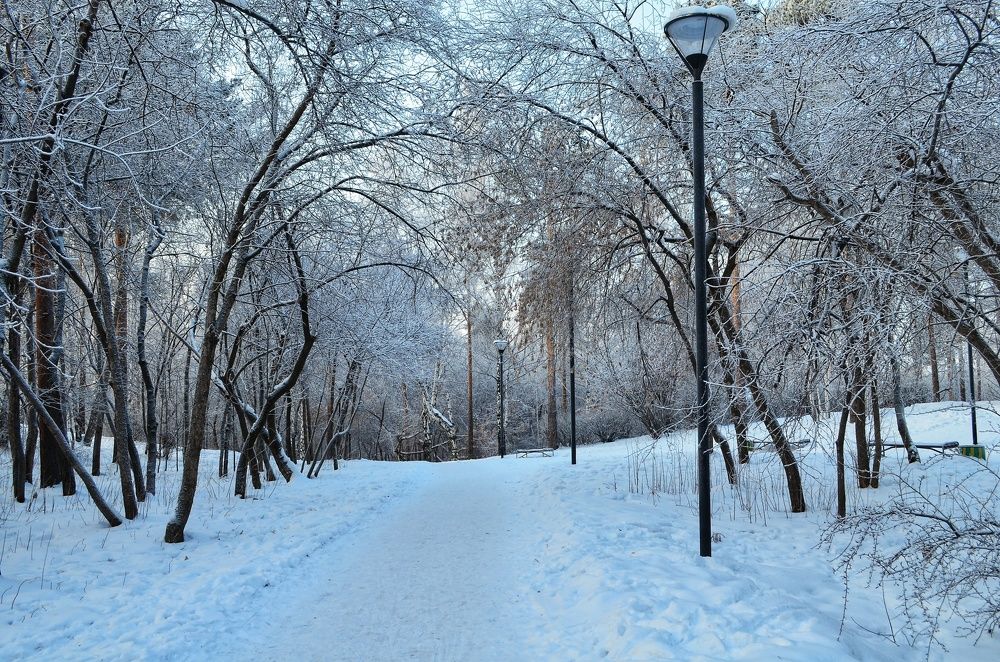 Photograph by Максим Солдатенко