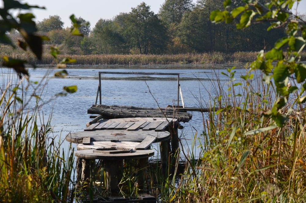 Photograph by Дмитрий Волков