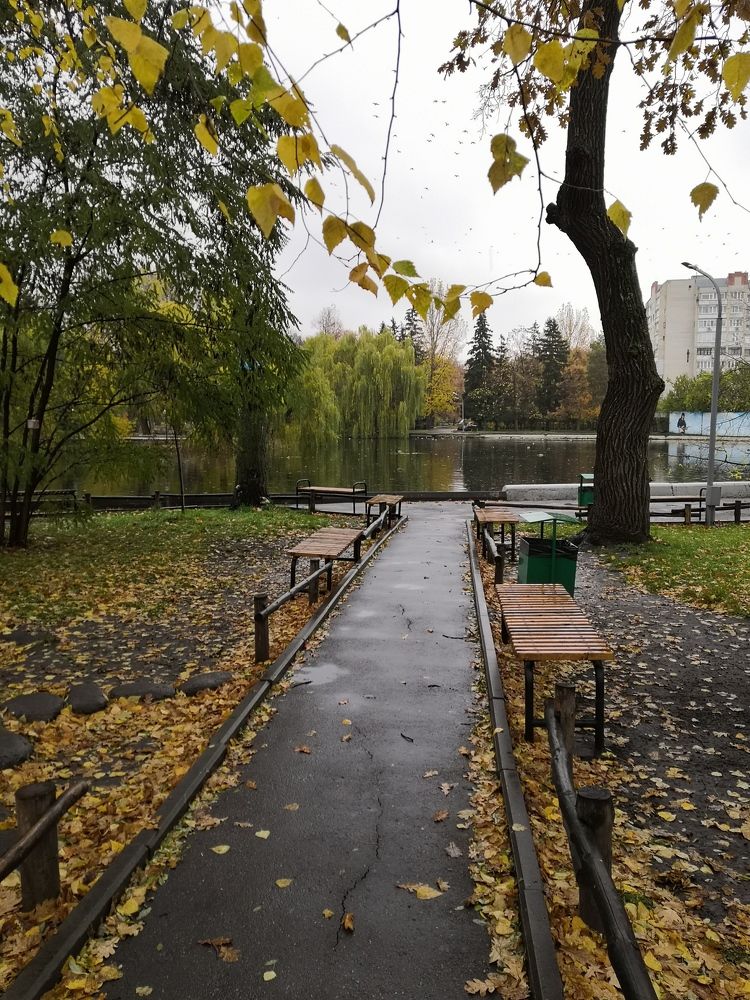 Photograph by Юлия Пацке