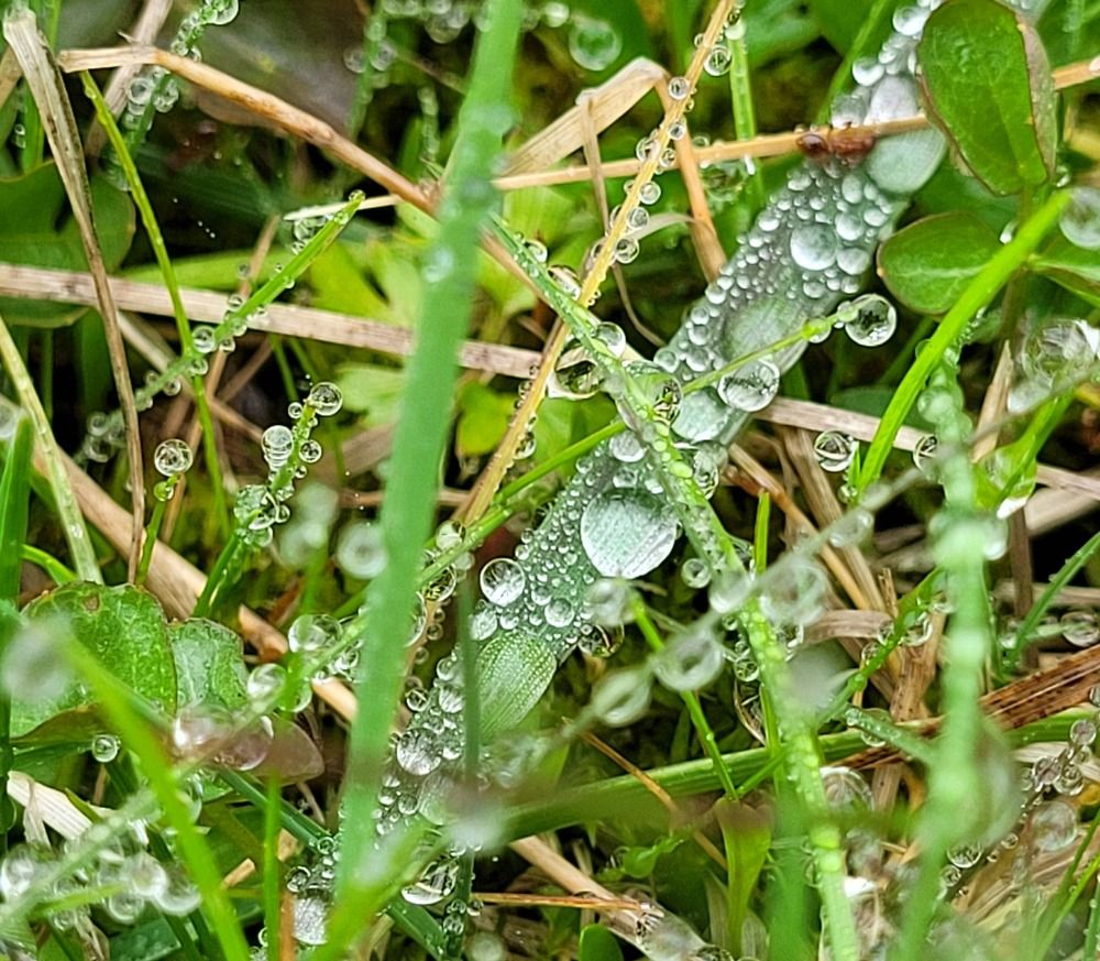 Фотография автора Александра Карпикова