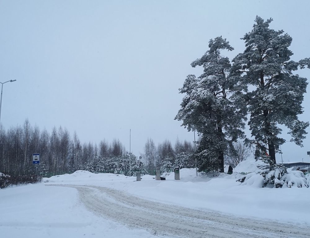 Photograph by Екатерина Борисовна Кузьмина