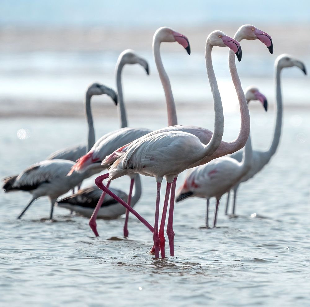 Photograph by Suneer S Subair