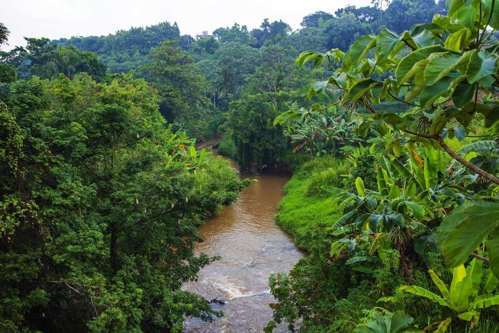 Photograph by Pujo Cahyono