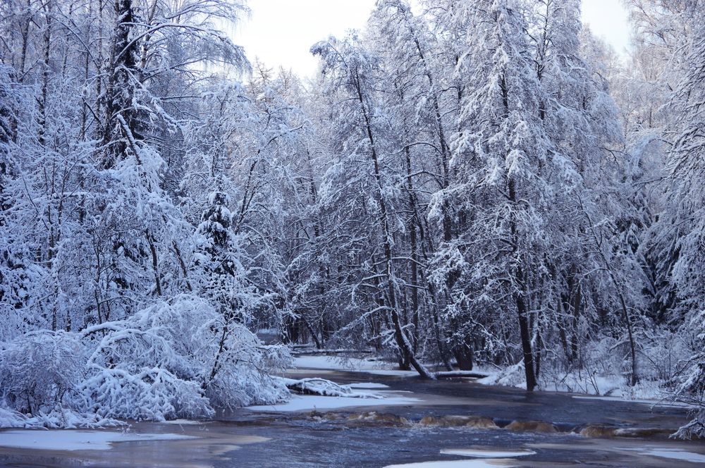 Photograph by Светлана Муравьева