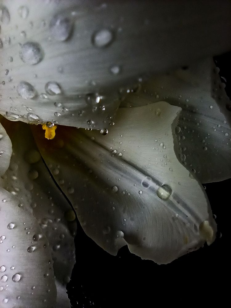 Photograph by Ирина Дегтярева