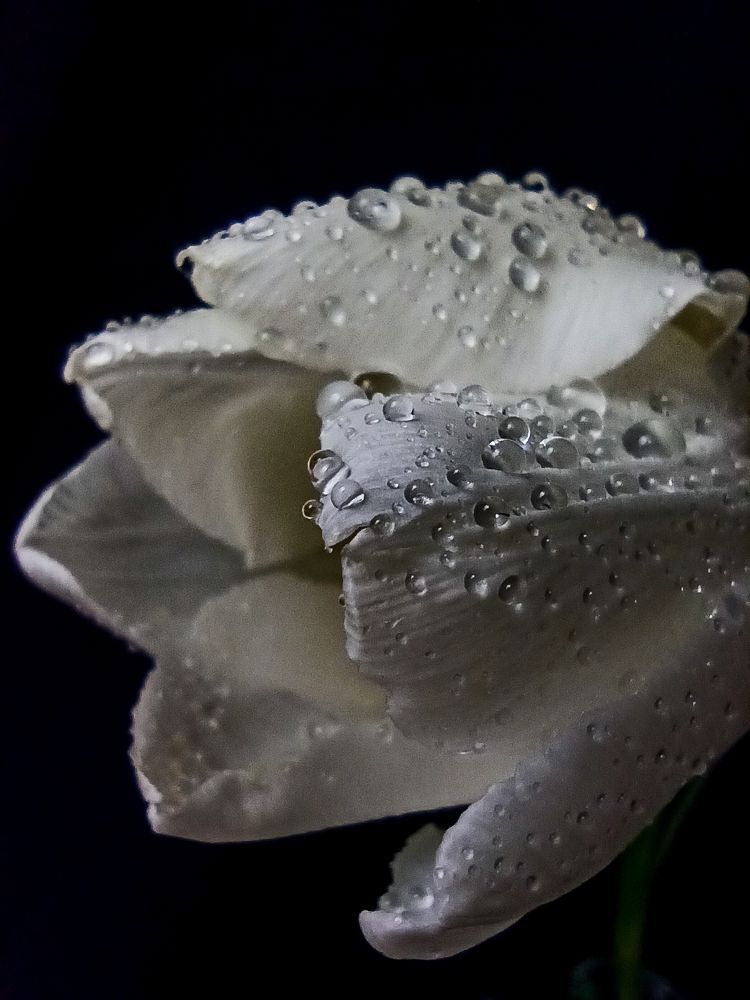 Photograph by Ирина Дегтярева