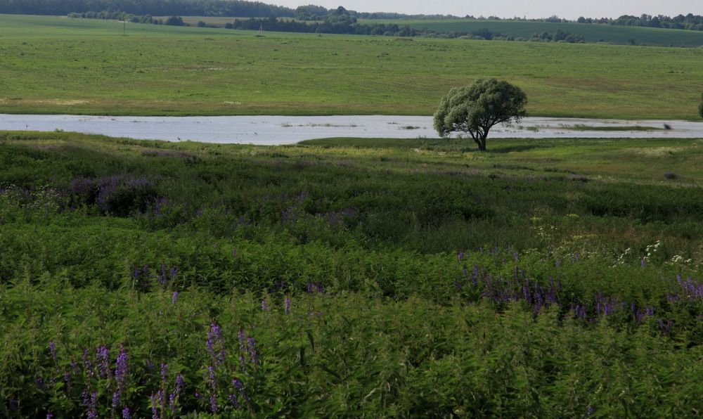 Photograph by Пётр Соколов