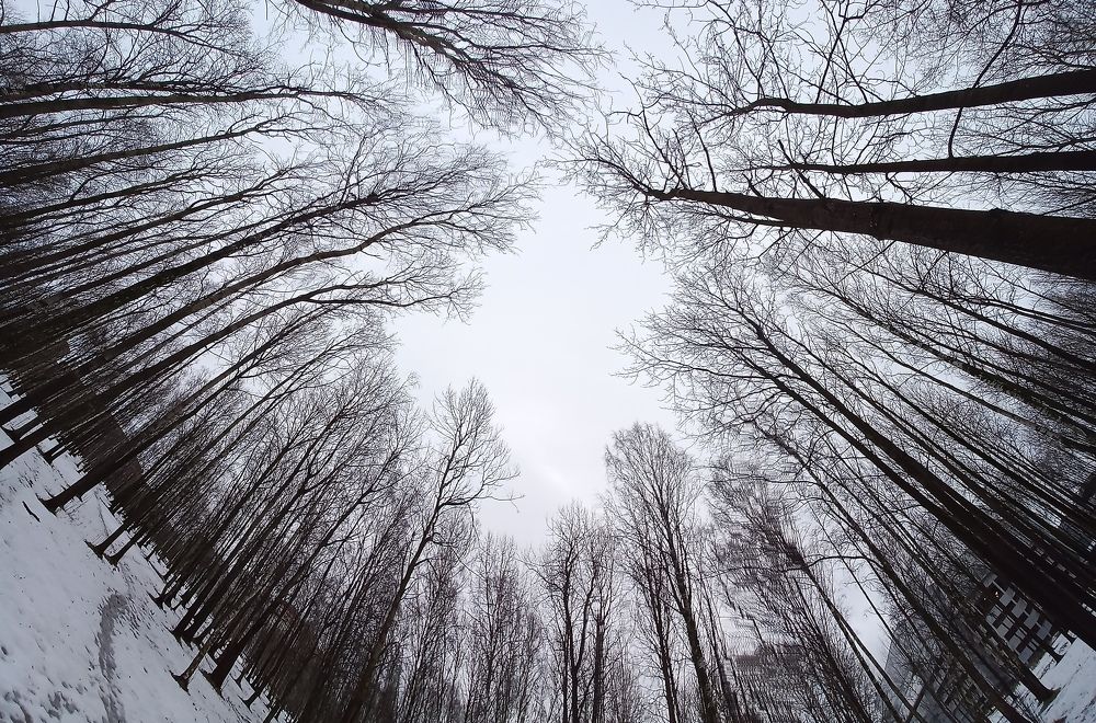 Photograph by Каковкина Ольга