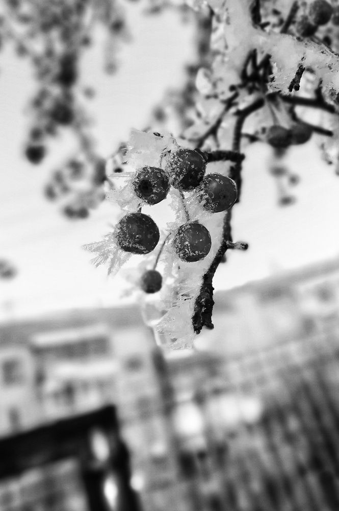 Photograph by Алексей Антонов