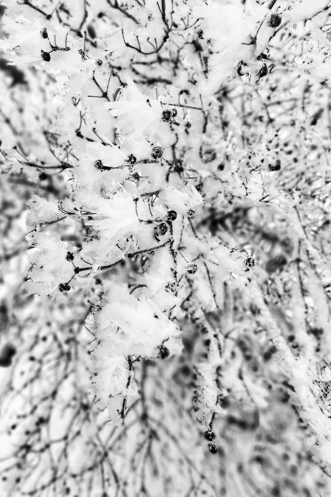 Photograph by Алексей Антонов