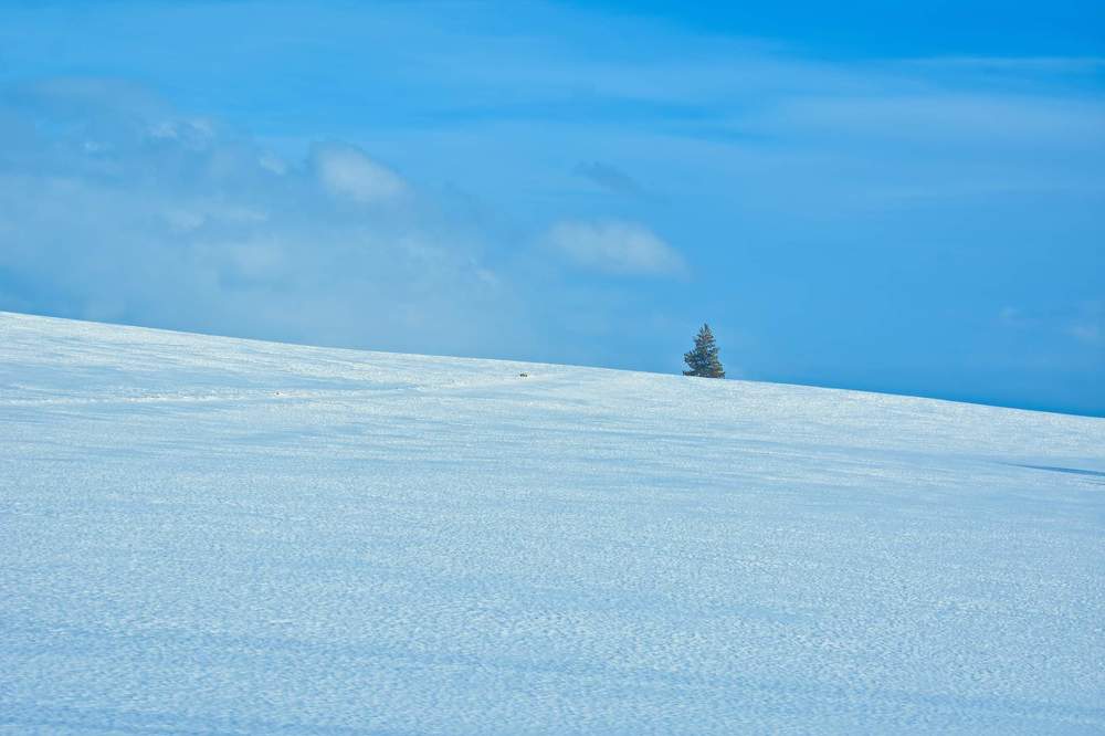 Фотография автора Sen Abhijit