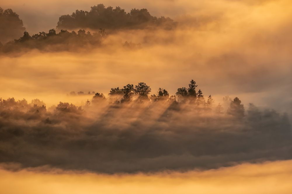 In the shadow of light