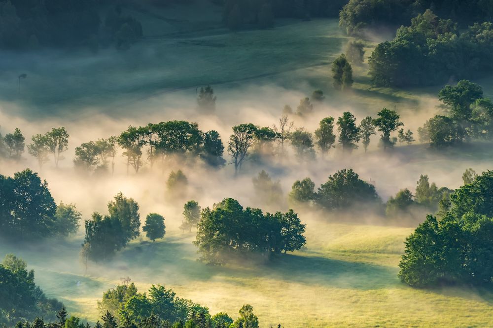 Somewhere on the trail in the morning