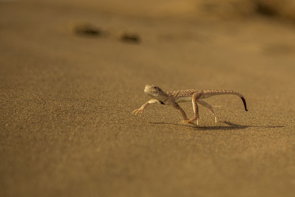 Photograph by seyed mostafa yousefi