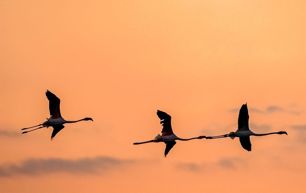 Photograph by Krasimir Georgiev