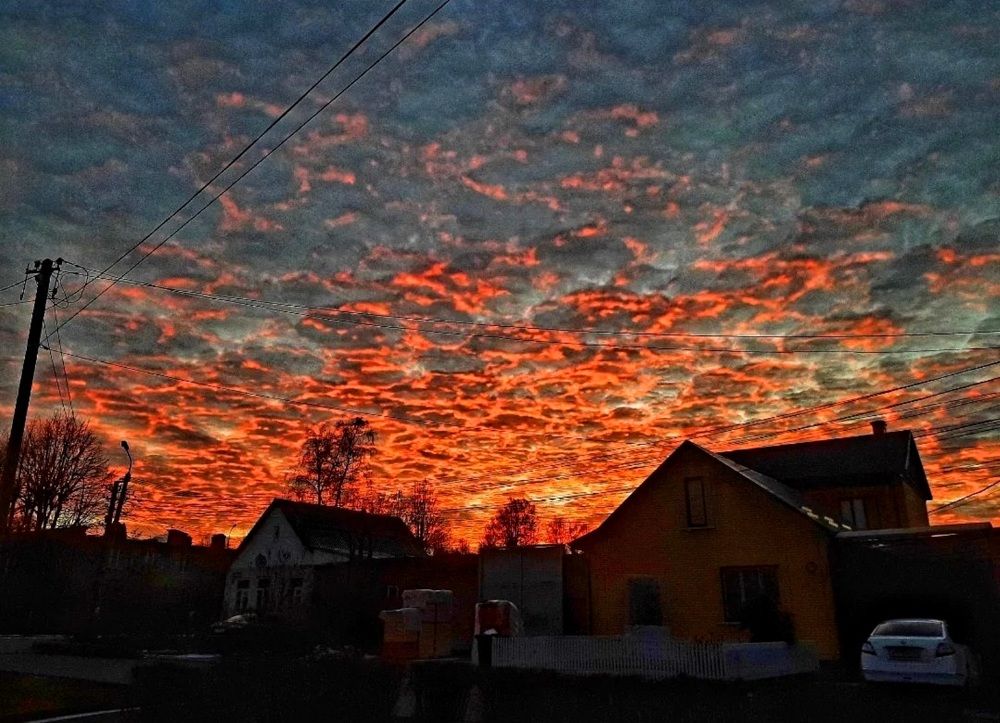 Photograph by Элеонора Цаллаева