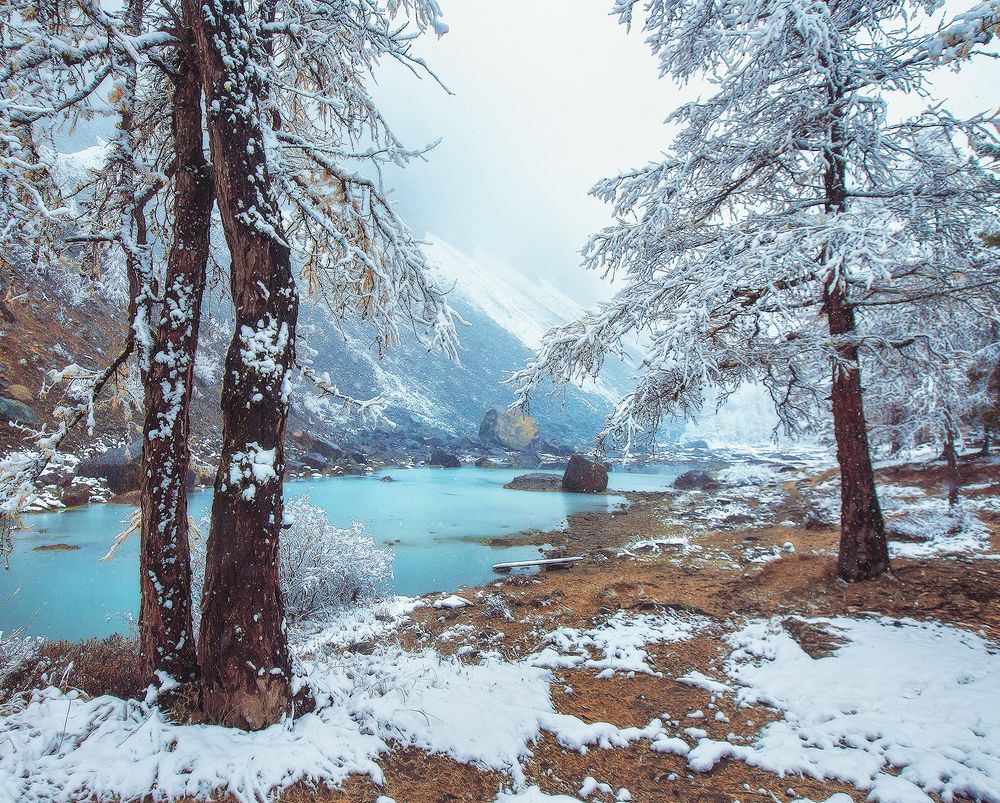 Photograph by Владимир Липецких