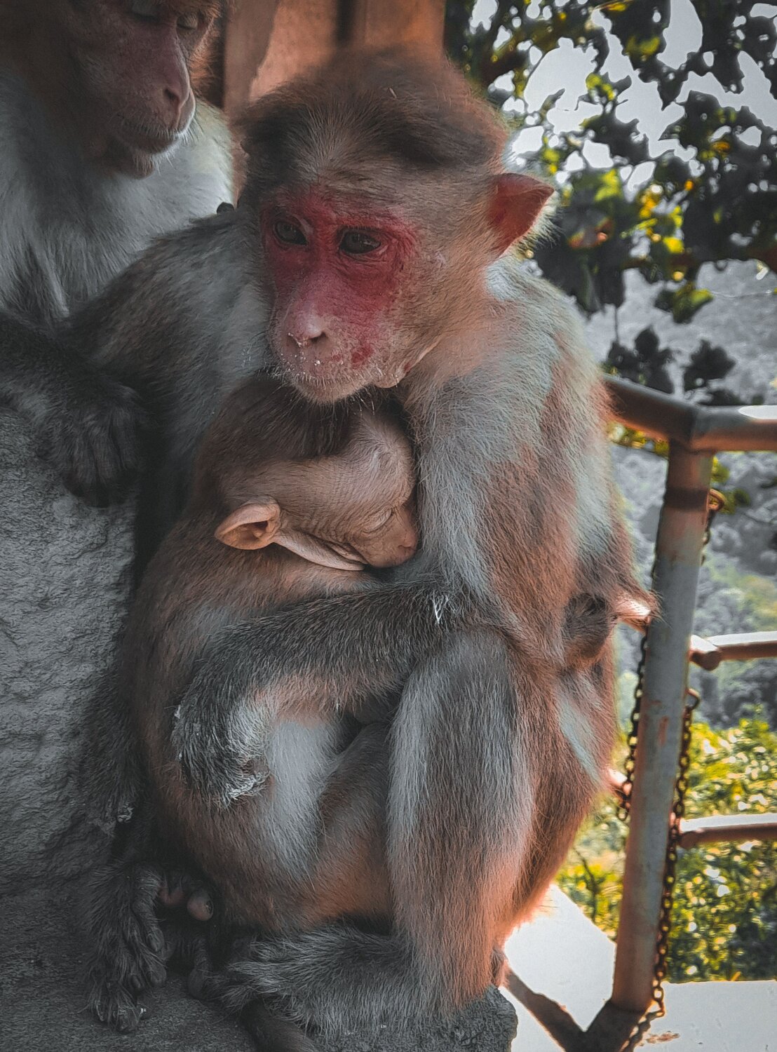 Photo #8576648