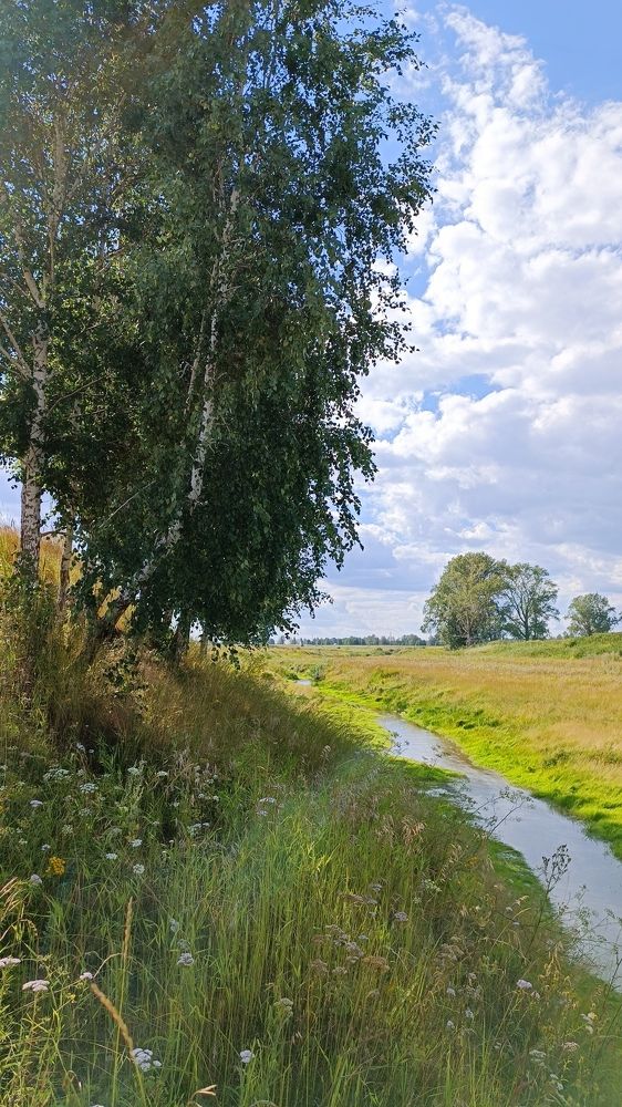 В один прекрасный летний день