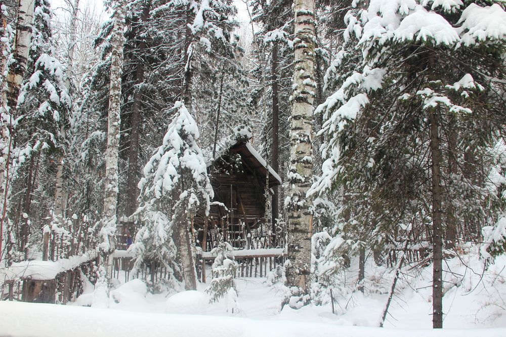 Photograph by Анжелика Иванова