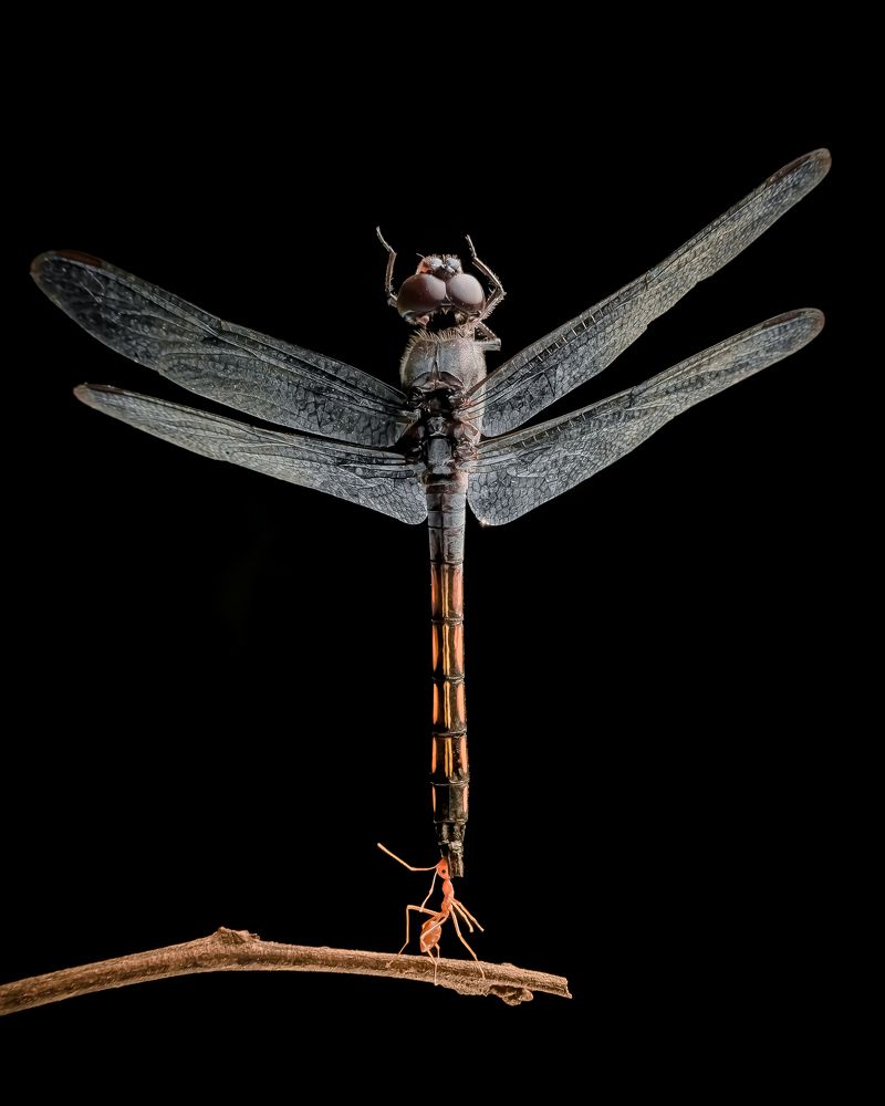 Photograph by Winda Octavianti Surjono