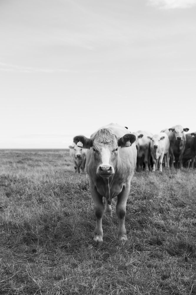 Photograph by Alena Shalai