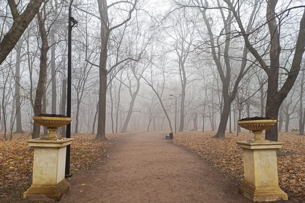 Photograph by Александр Гунин