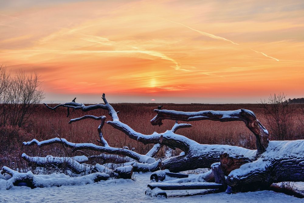 Зимний берег