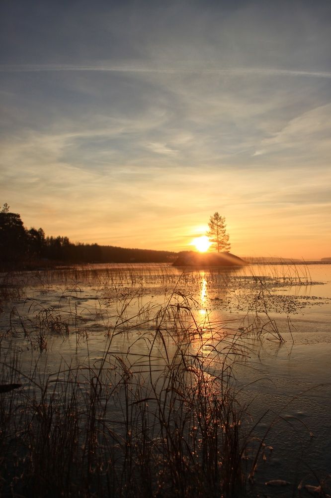 Photograph by Лев Кауфман