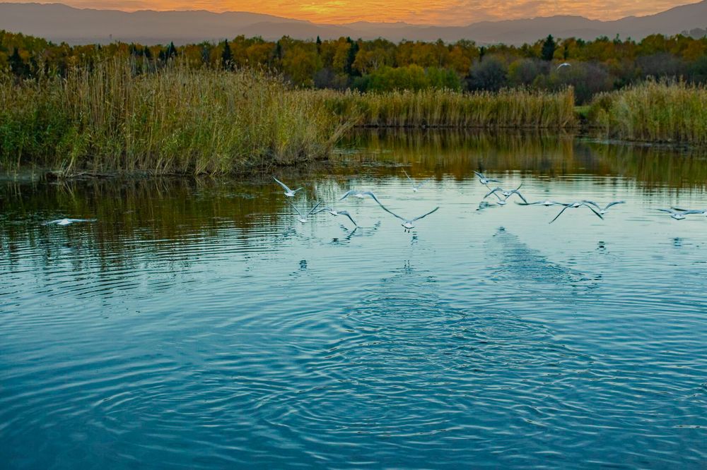 Photograph by Анжелика Трошина