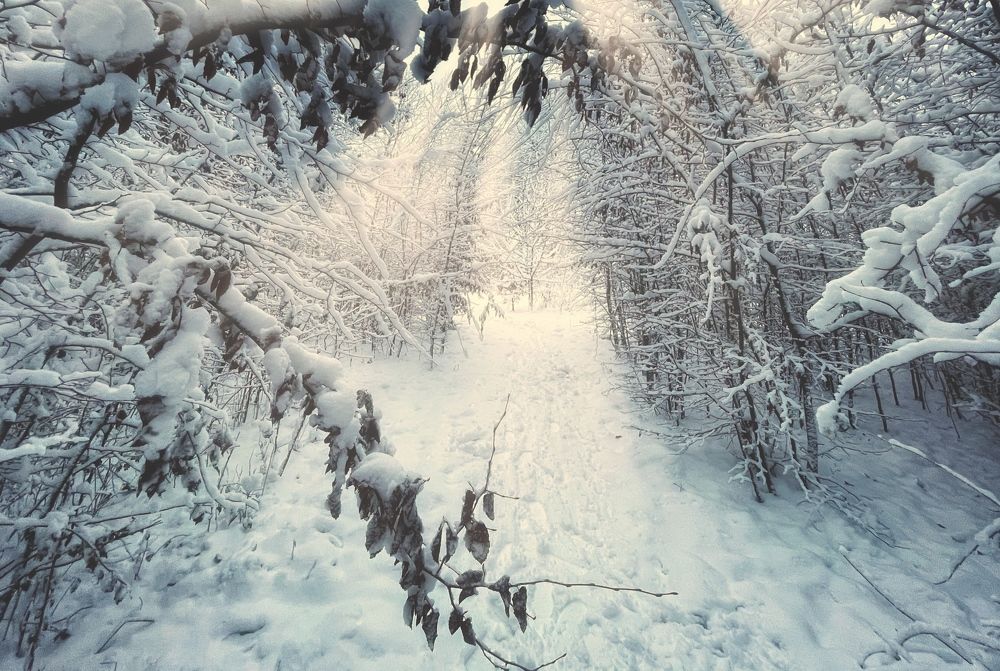 Photograph by Ирина Саакова