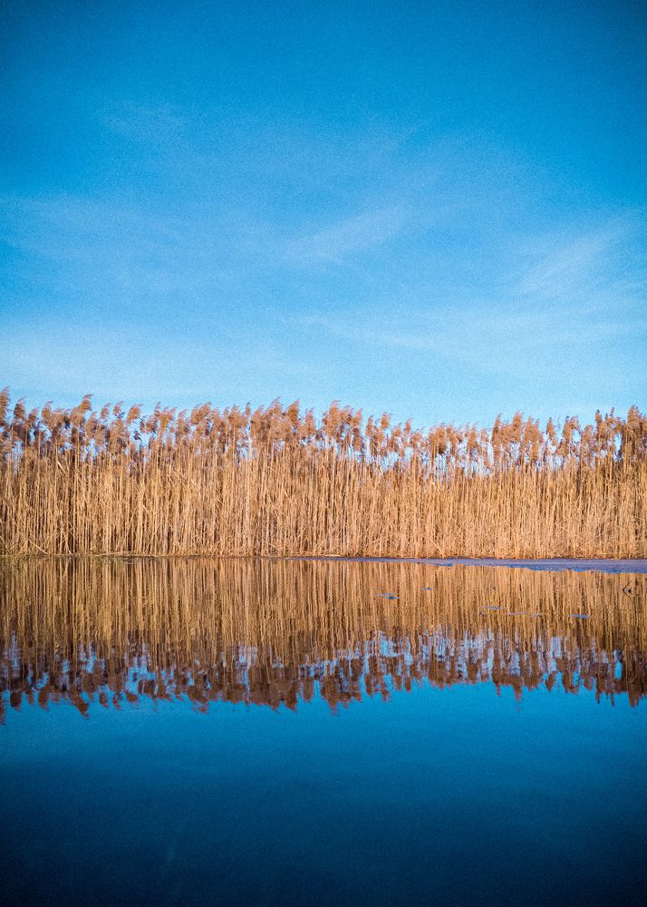 Photograph by Алексей Крукович