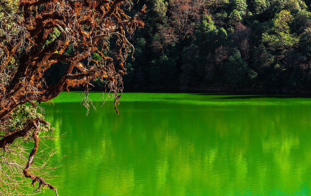 Photograph by Digvijay singh Janoti