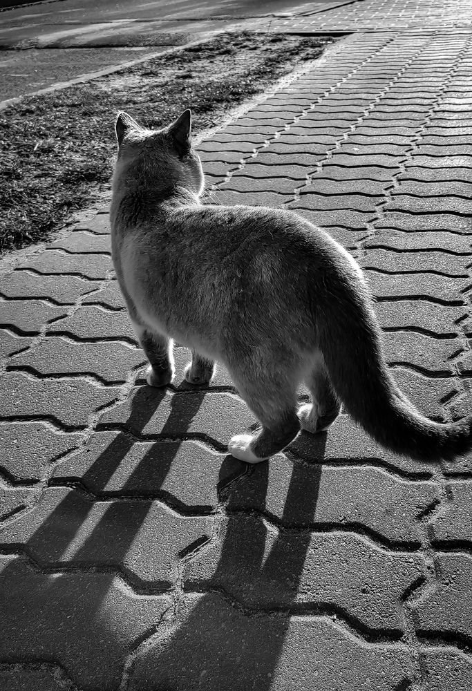 Photograph by Алексей Крукович