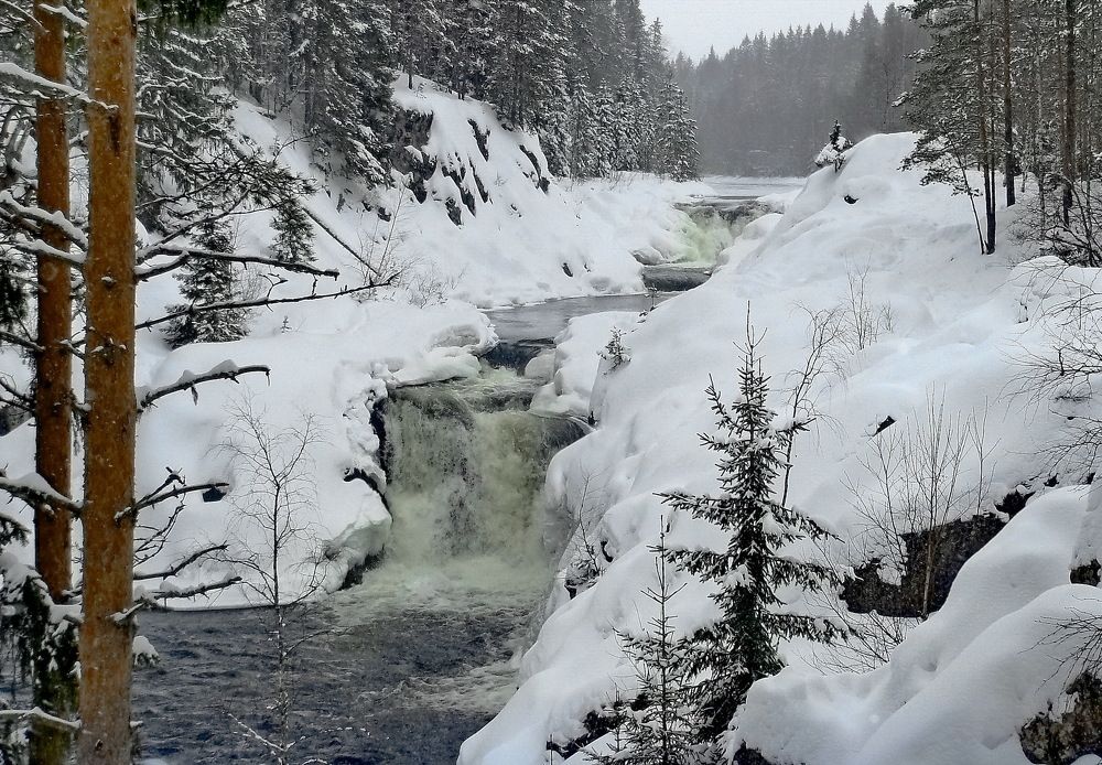 Photograph by Лидия Ушакова