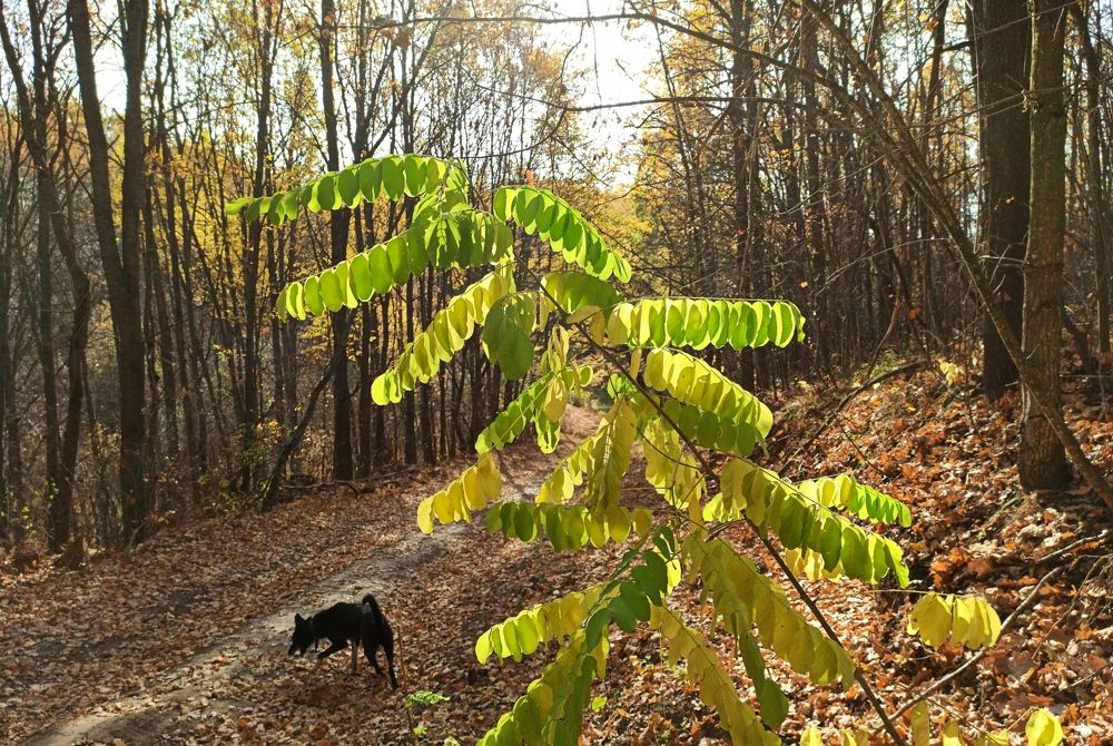 Фотография автора Иван