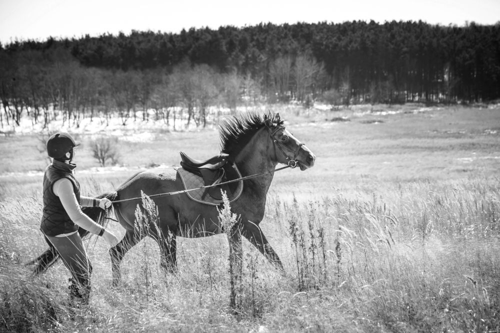 Photograph by Максим Дорошенко