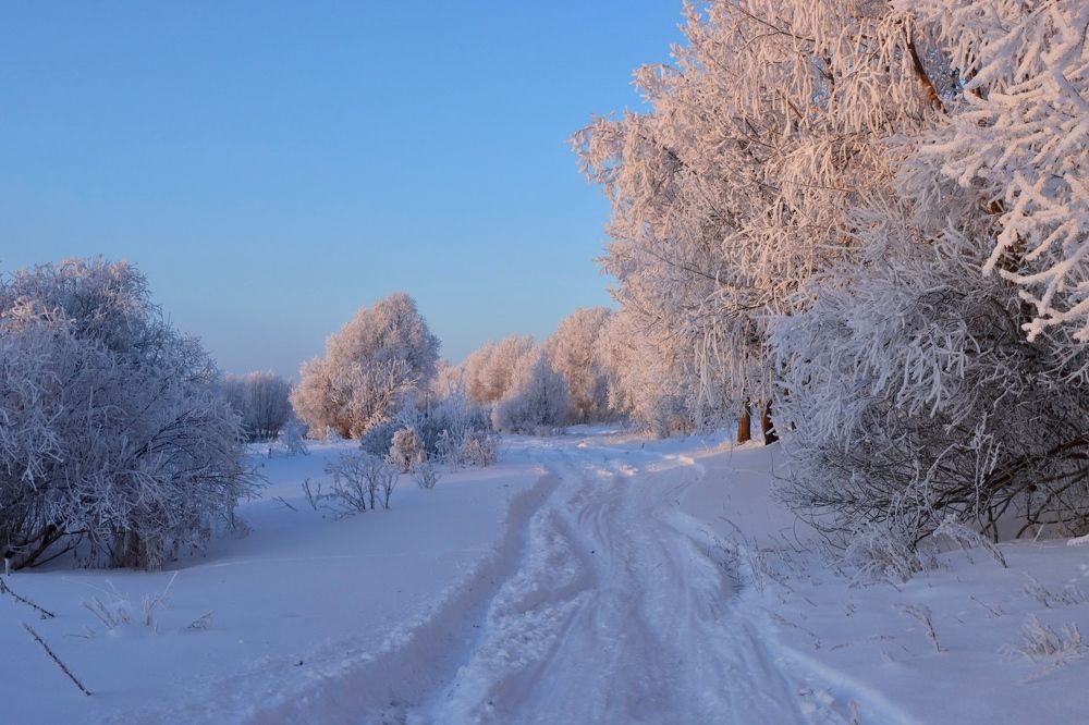 Photograph by Ирина Лисовец