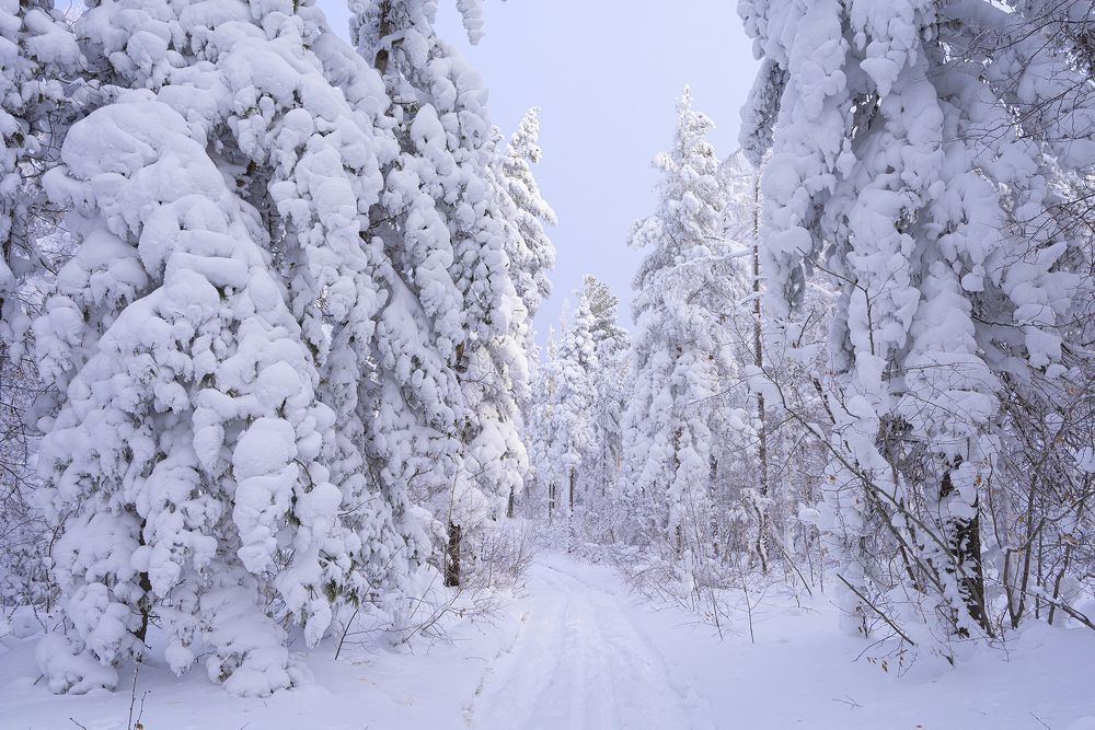 Photograph by Елена Вторушина
