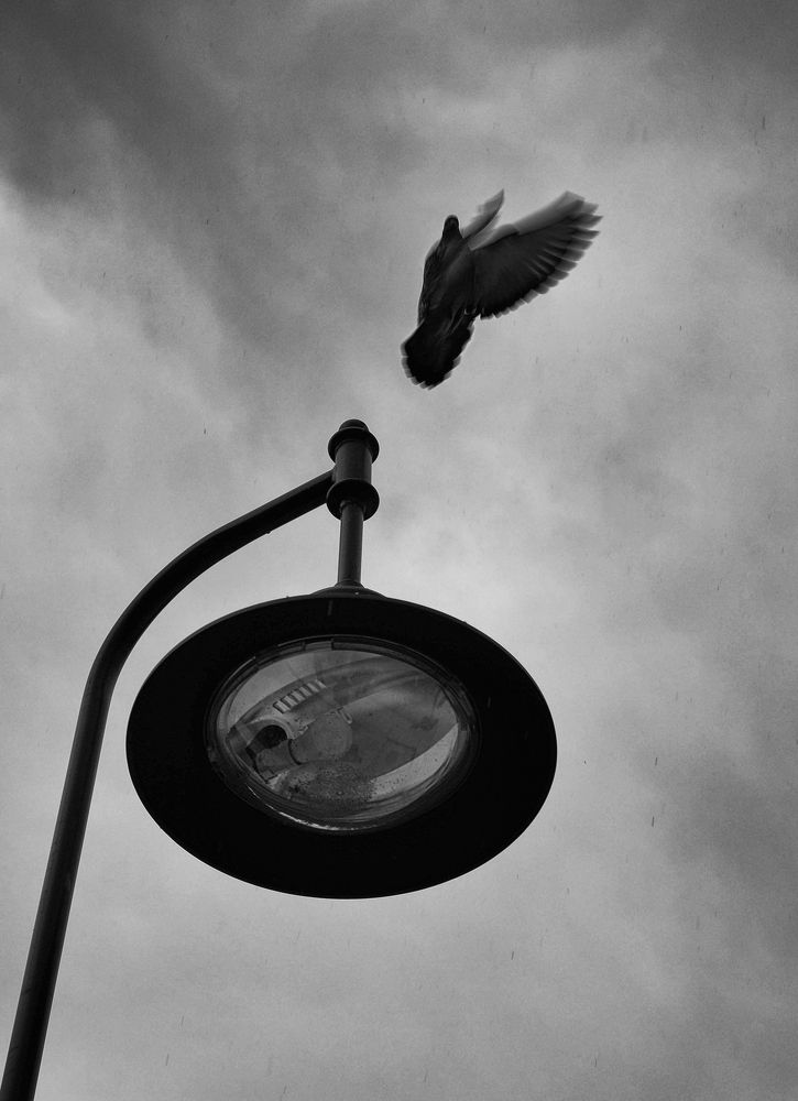 Фотография автора Павел Мартюшев