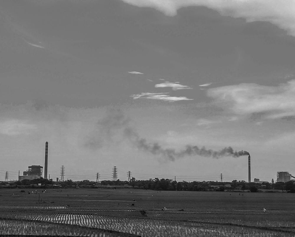 Rice fields and industrial area