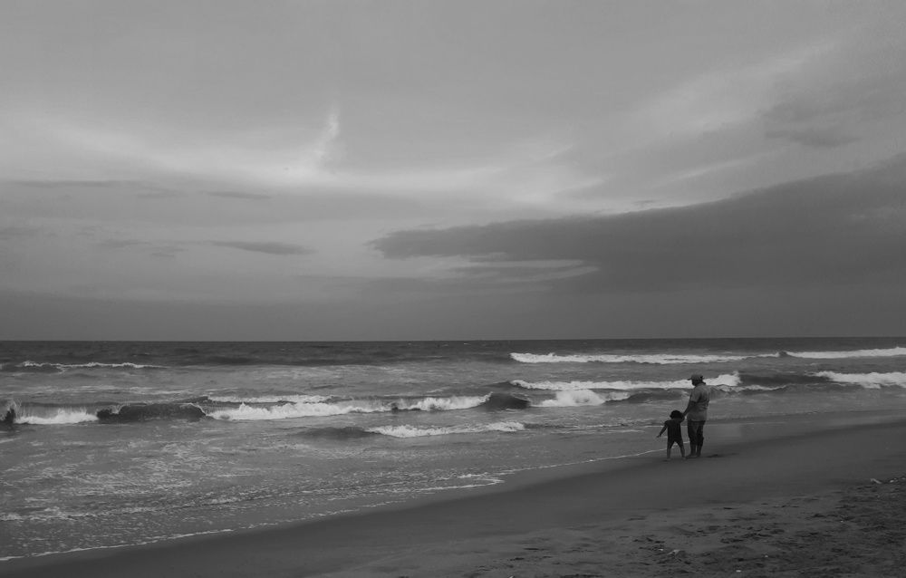 Photo #8577065